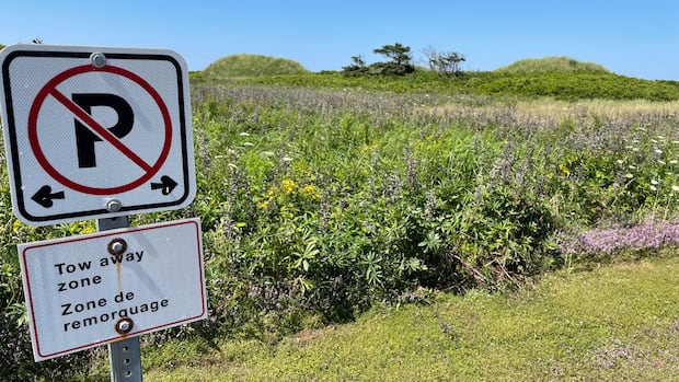 Parks Canada campaign looks to ease parking woes in P.E.I. National Park this summer