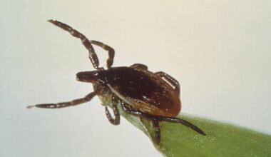 Like it or not, the ticks are advancing and Canadians will have to adapt