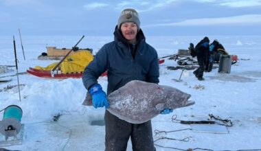Southern business buys its 1st batch of turbot from Clyde River, Nunavut