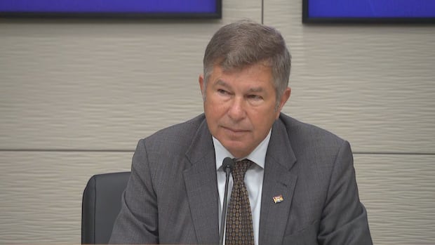 New virtual care service to offer scheduled appointments, no 'distracted' nurses, says N.B. health minister