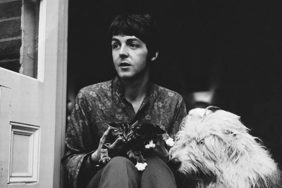 Paul McCartney, Martha and two kittens