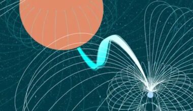 An illustration depicting a planet with magnetic field lines and solar interactions in a starry background.
