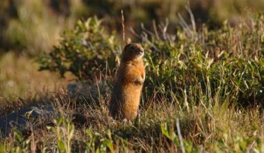 June 13: Fossilized squirrel poop full of ancient animals, and more…