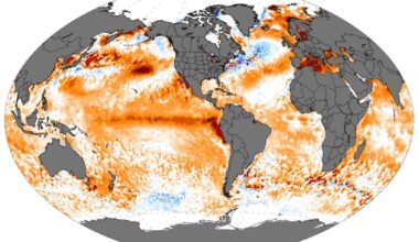 El Niño is officially here, and scientists say it will be particularly strong with widespread impacts
