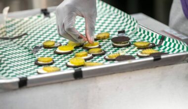 Briny bounty at the Ex – Winnipeg Free Press