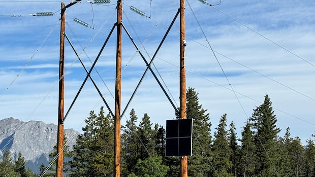 AI cameras being piloted to detect wildfires in Kananaskis