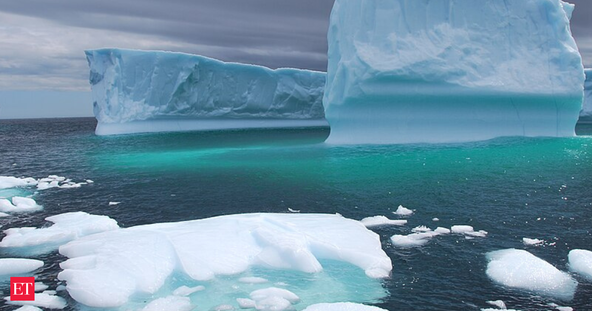 Melting icebergs are dropping rocks onto the Arctic seafloor, and those stones are turning into deep-sea homes for marine life as climate change quietly redraws where life can live