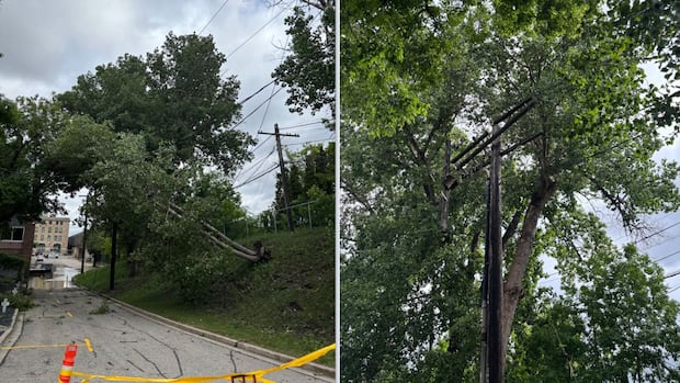 Manitoba Hydro to shut off power to The Forks for 2 hours Saturday morning