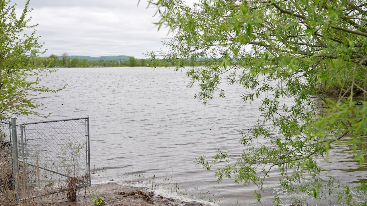 A riverside is seen past hanging trees on a cloudy day.