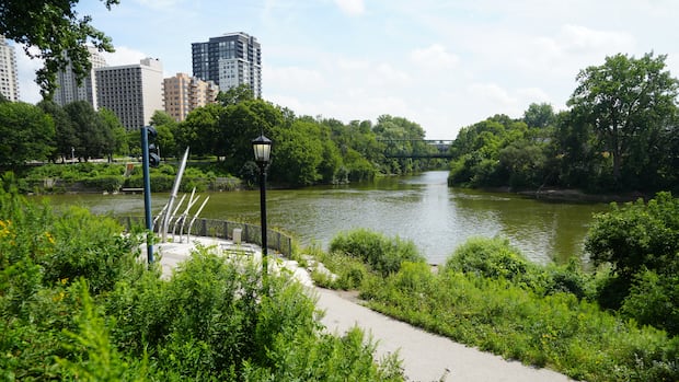 Downtown city office, better links to river, cited in report to 'reimagine' downtown London