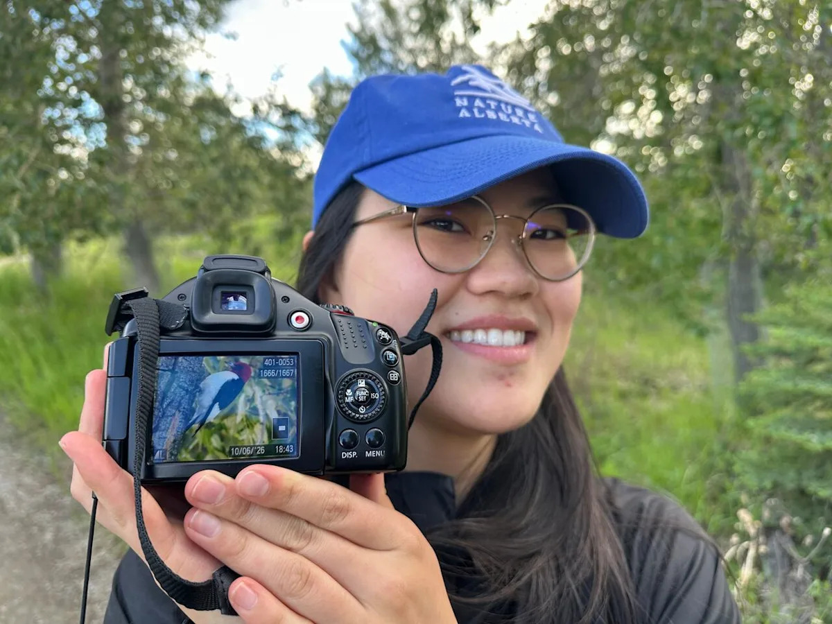 Birdwatchers flock to Calgary park to catch glimpse of rare woodpecker