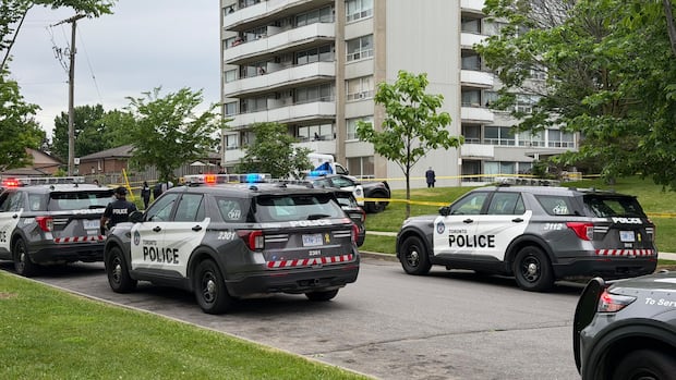1 dead after being struck by vehicle, large fight in North York: police