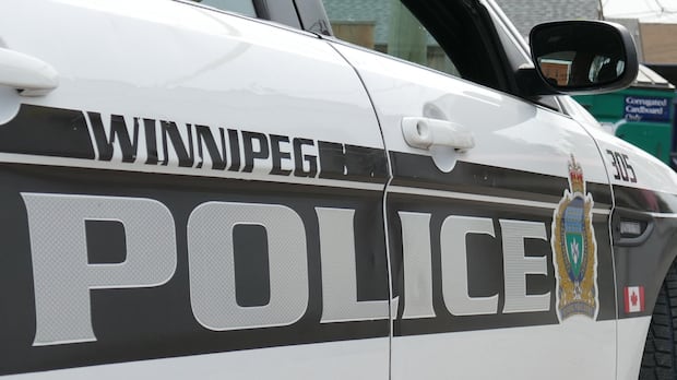 Winnipeg police seeking suspect after preteen girl sexually assaulted at knifepoint