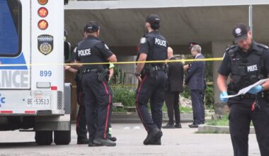 1 dead after being struck by vehicle, large fight in North York: Toronto police