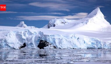 'It's depressing': A France-sized area of Antarctica's winter sea ice is missing as temperatures soar 20°C above average |