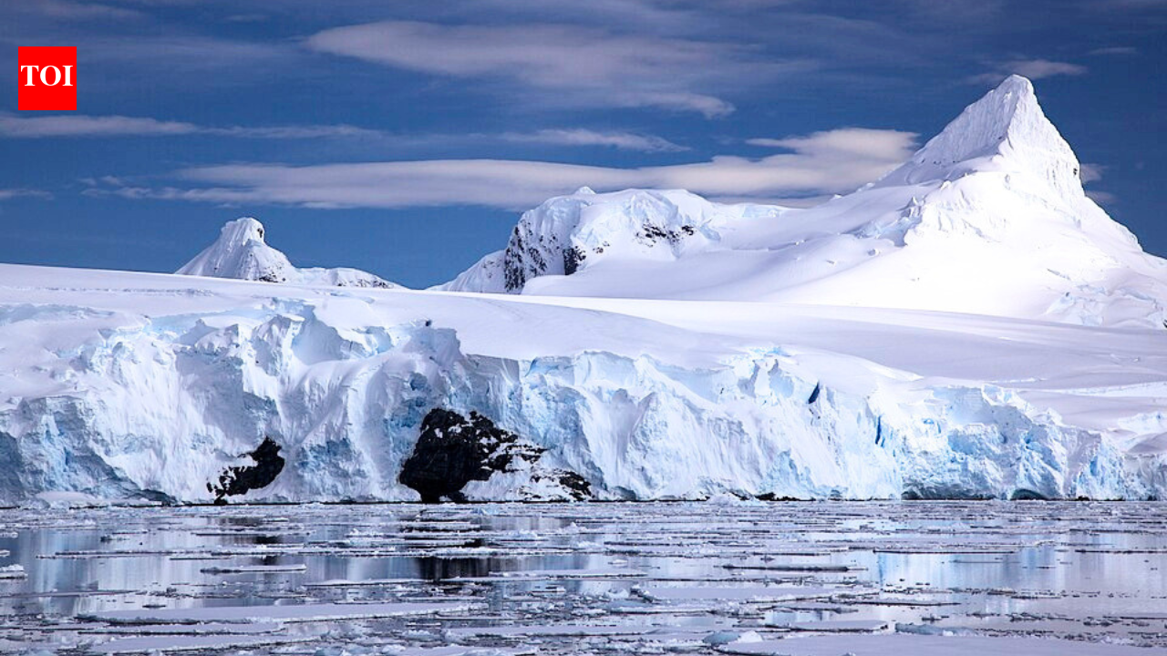 'It's depressing': A France-sized area of Antarctica's winter sea ice is missing as temperatures soar 20°C above average |