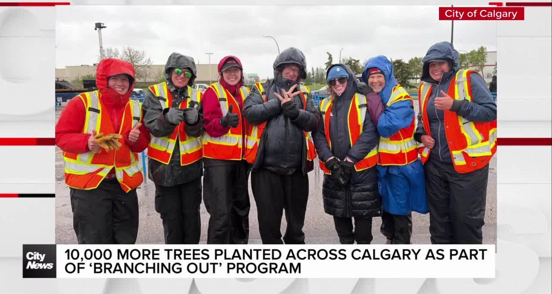 10,000 more trees planted across Calgary as part of ‘Branching Out’ program
