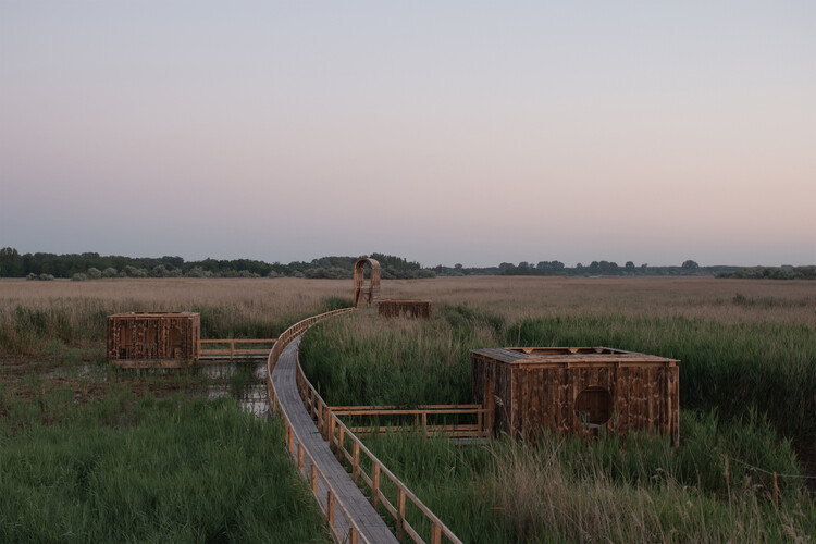Designing for Stray Cities: Architecture Beyond the Human - Image 5 of 15