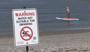 Vancouver's Sunset Beach remains closed to swimming as high E. coli levels persist