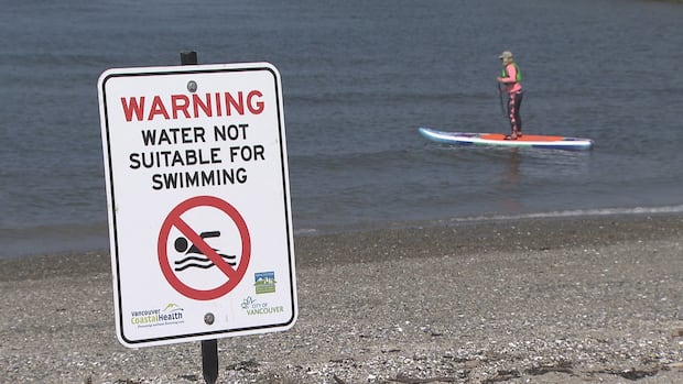 Vancouver's Sunset Beach remains closed to swimming as high E. coli levels persist