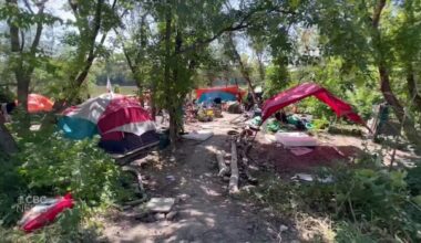 Winnipeg reports fewer encampments amid enforcement, but advocates say numbers don't tell whole story