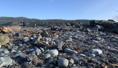 Coastal flooding statement issued for parts of southern Vancouver Island overnight