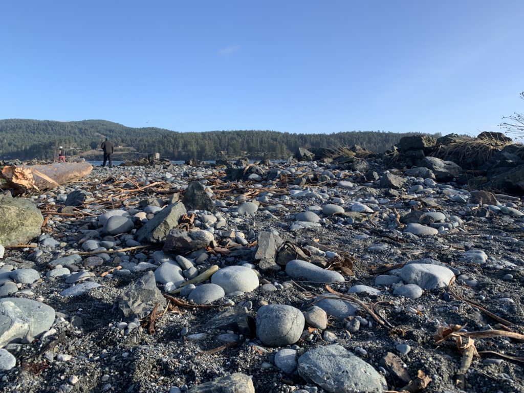 Coastal flooding statement issued for parts of southern Vancouver Island overnight