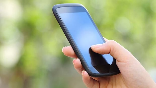 Bell, Telus under under fire for charging fees that 'appear' to violate new rules