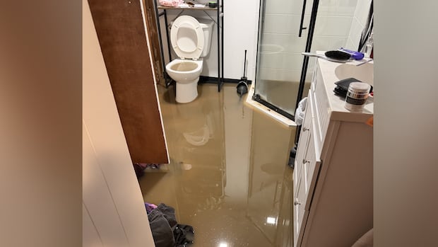 North Kildonan residents frustrated after 2nd round of basement flooding in a week