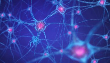 Scientists discover how exercising muscles communicate with the brain to fight depression