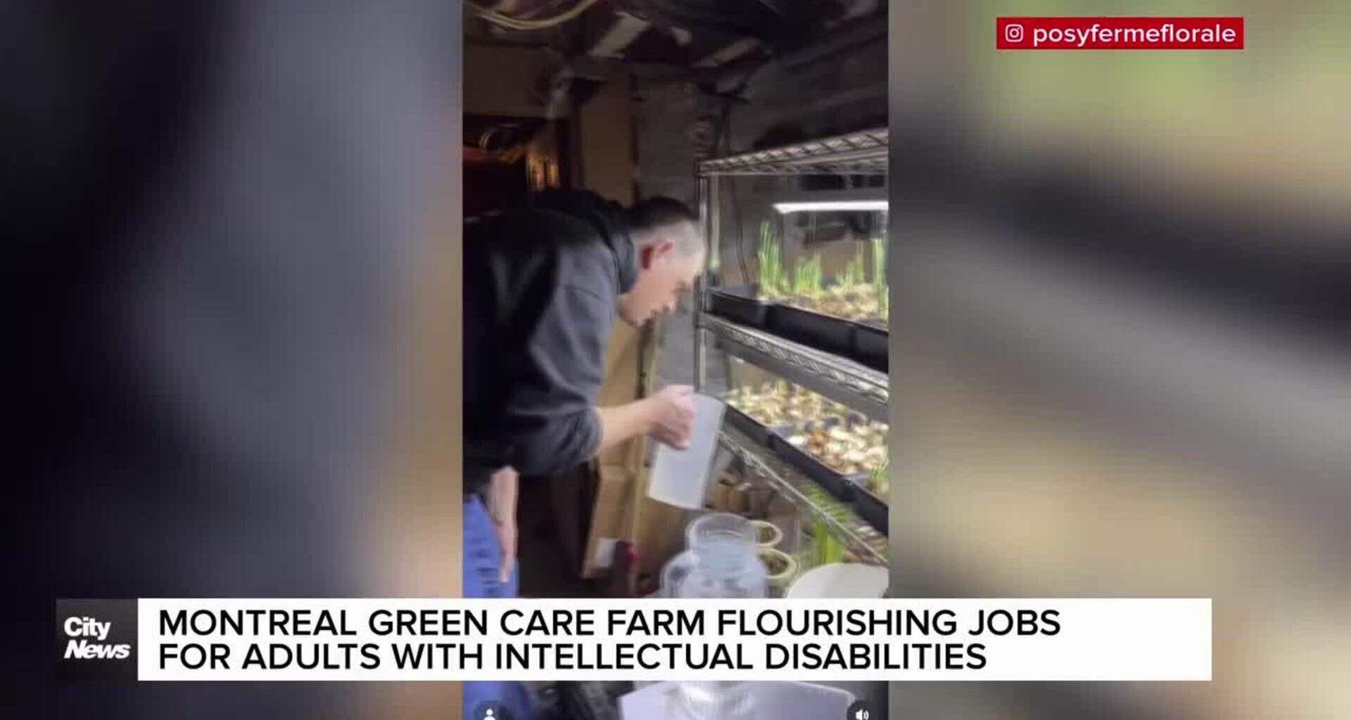 Montreal flower farm helping adults with intellectual disabilities