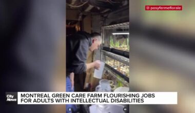 Montreal flower farm helping adults with intellectual disabilities