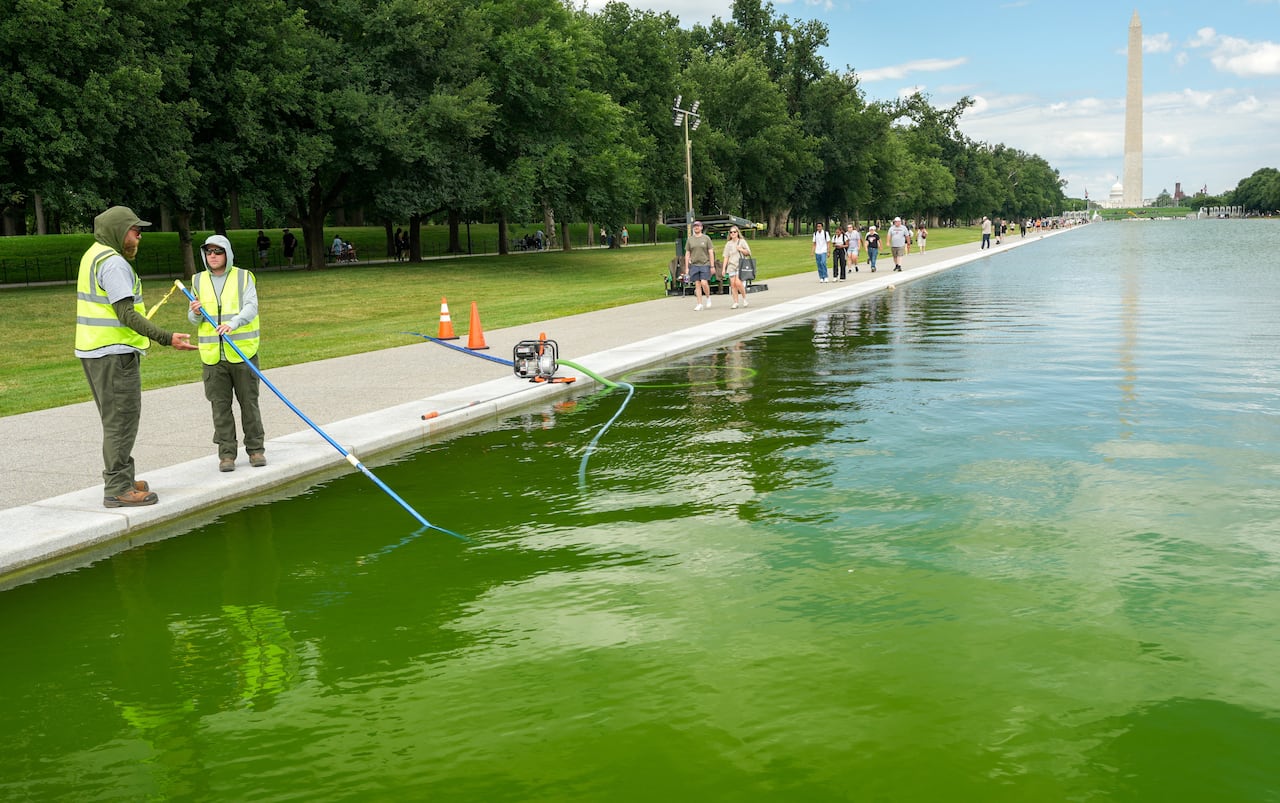 Workers in yellow reflective vests stand beside the green-coloured water of the reflecting pool, with the Washington Monument visible in the distance.