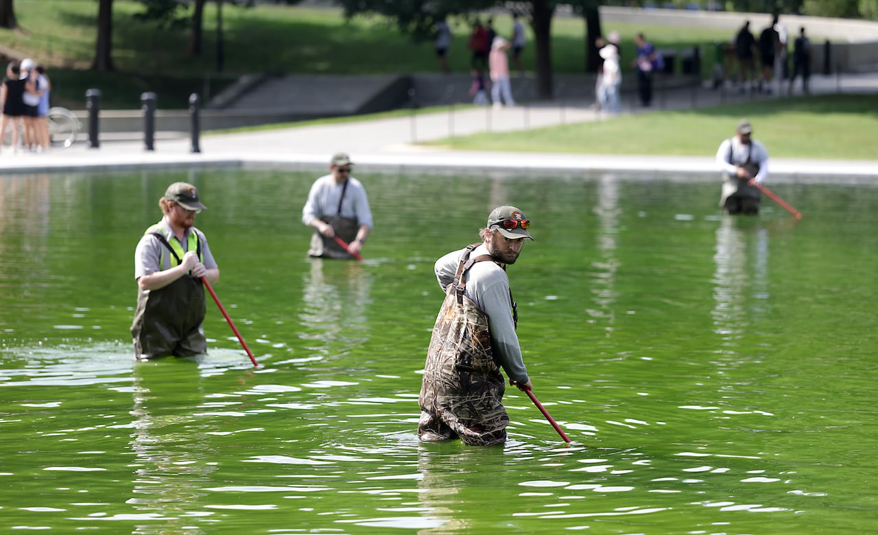 Four workers wearing waterproof overalls stand thigh-deep in greenish water holding skimmers.