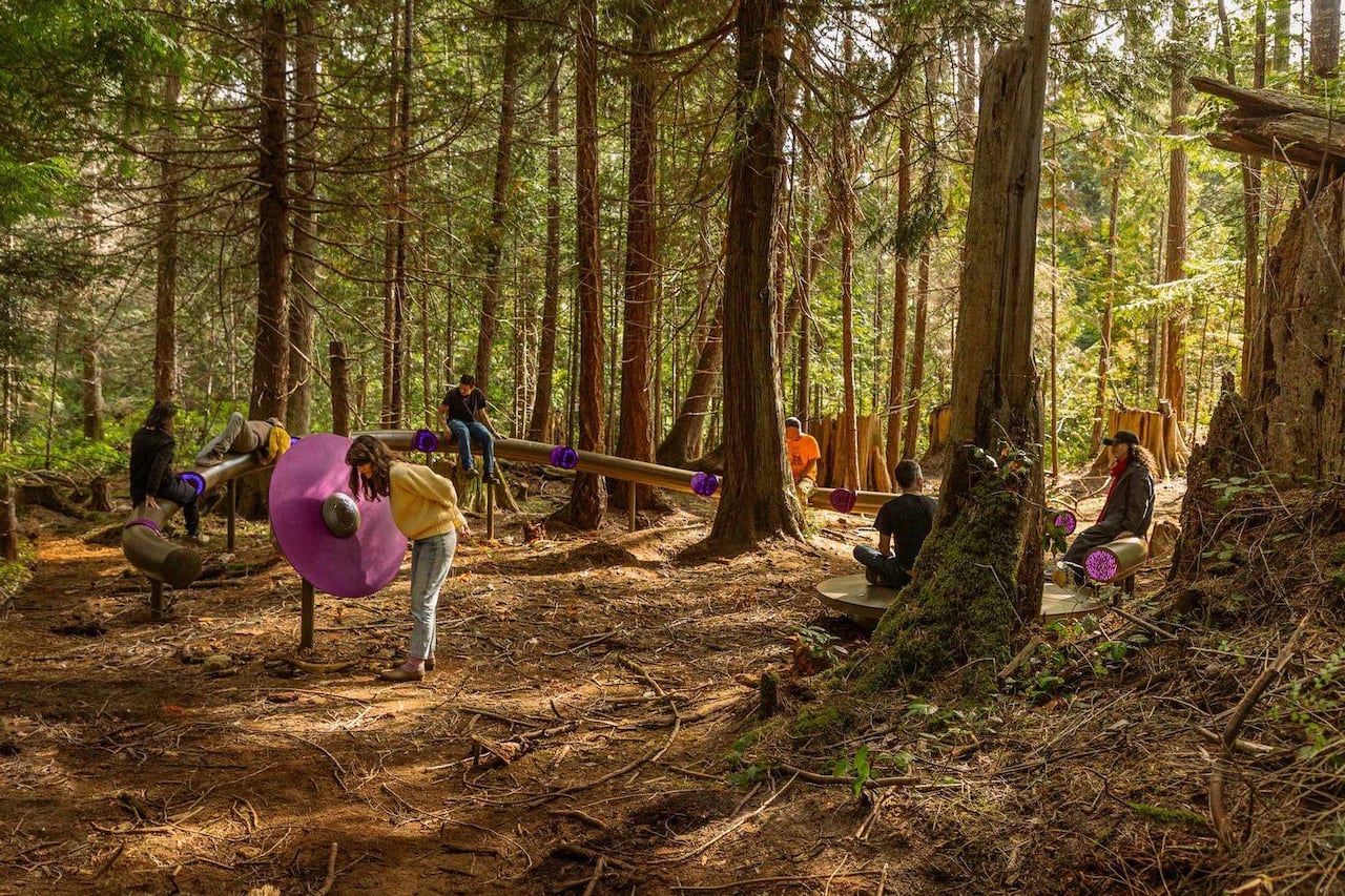 Photo of people gathering in an old growth forest around an abstract metal sculpture.