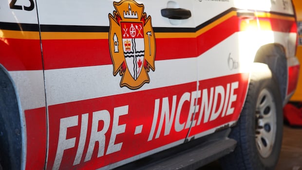 2 pets killed in downtown Ottawa highrise fire