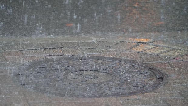 Heavy rain, thunderstorm coming to Hamilton, Niagara areas Wednesday night, Environment Canada says
