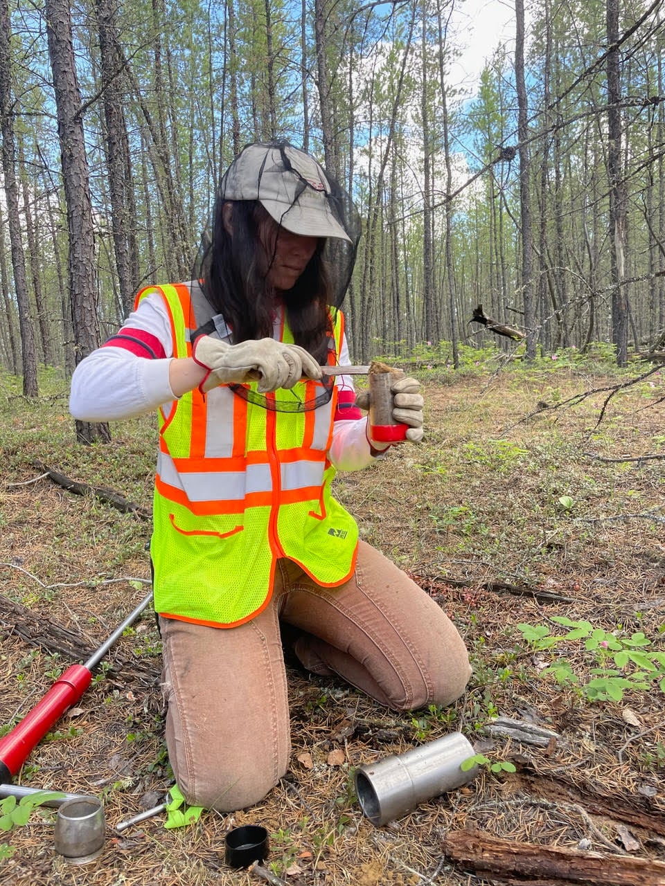 A woman is wearing a bright-coloured vest and a mosquito veil over her head in a forest as she holds a soil sample in a container.