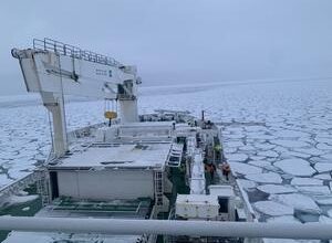 New study led by South African scientists reveals how sea-ice microbes survive the Southern Ocean’s harsh winter, with implications for climate change