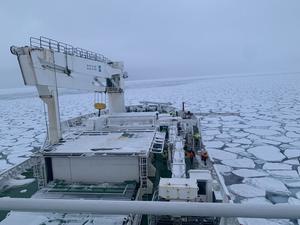 New study led by South African scientists reveals how sea-ice microbes survive the Southern Ocean’s harsh winter, with implications for climate change