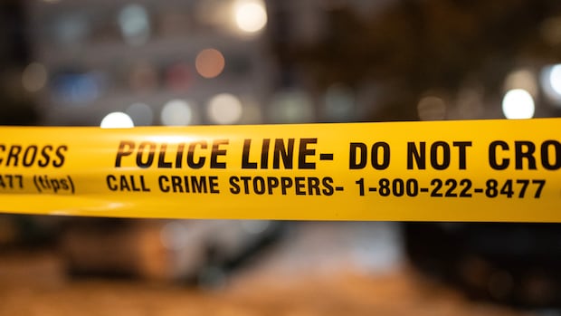 Bail reform law welcomed by Edmonton leaders tackling crime and disorder