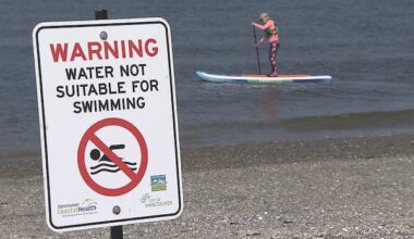 5 Vancouver beaches closed to swimming due to high E. coli levels