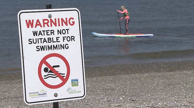 5 Vancouver beaches closed to swimming due to high E. coli levels