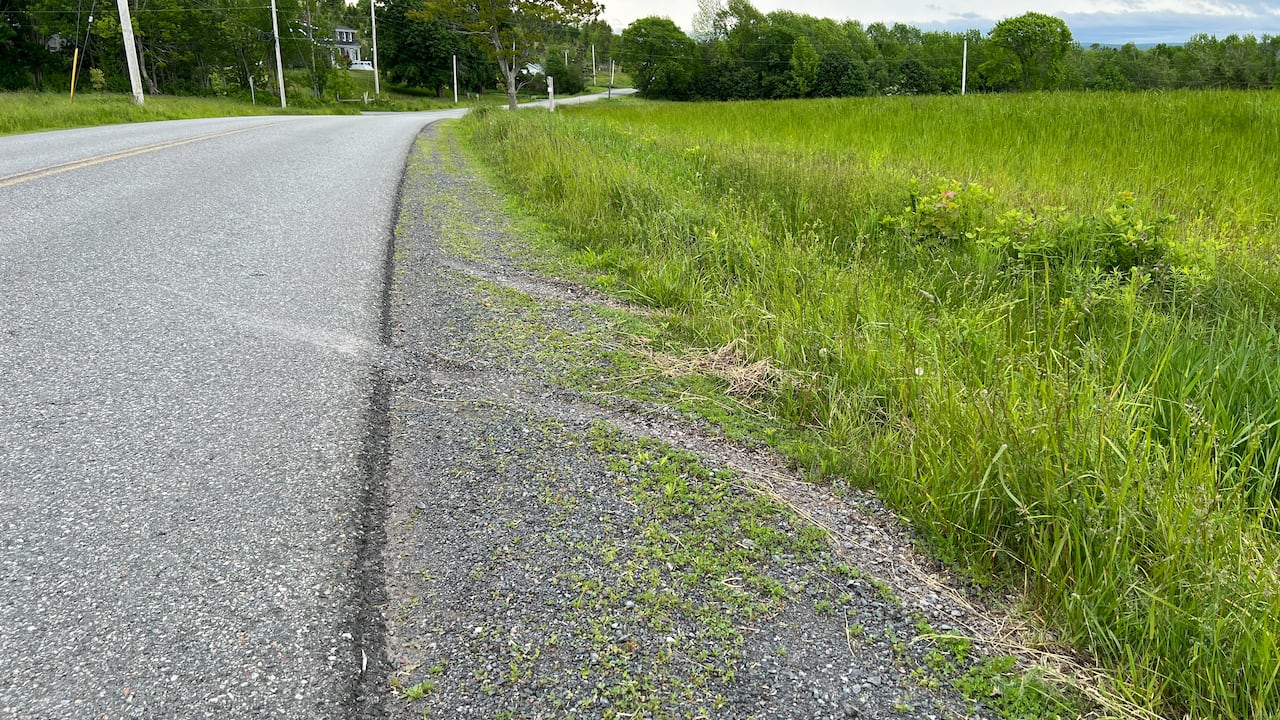 Tire tracks on a road.