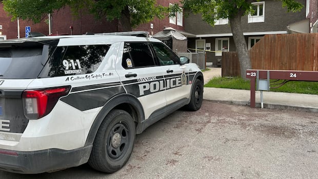 Winnipeg police fatally shoot man, 26, they say was armed during domestic dispute call