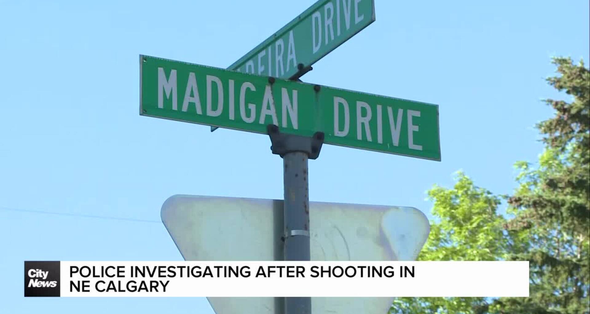 Police investigating after shooting in NE Calgary