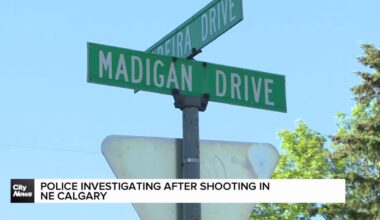 Police investigating after shooting in NE Calgary