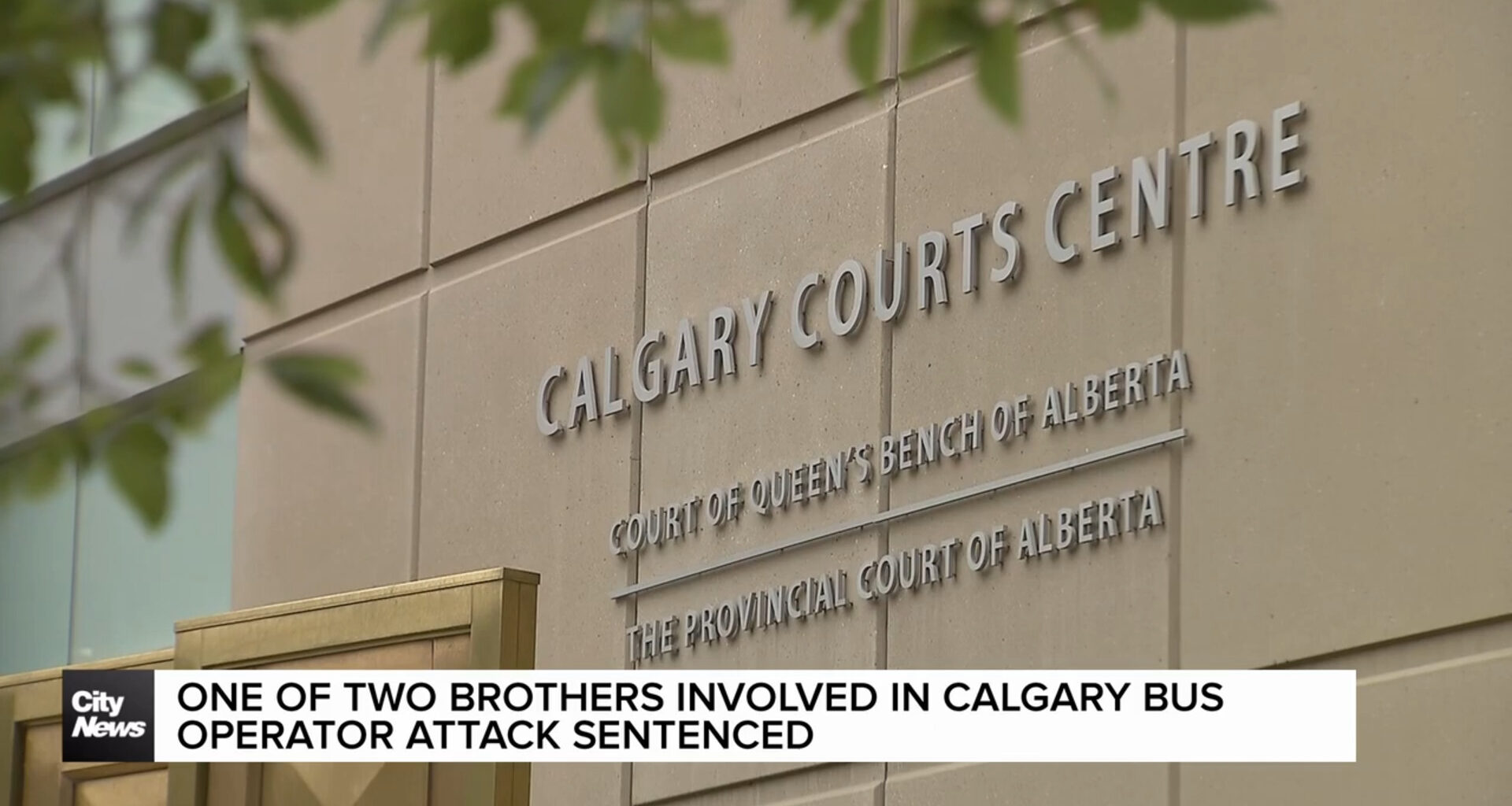 One of two brothers involved in Calgary bus operator attack sentenced