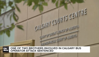 One of two brothers involved in Calgary bus operator attack sentenced