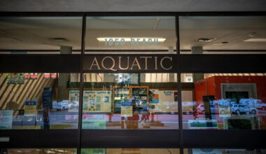 Citizen's group takes city to court over Vancouver Aquatic Centre renewal